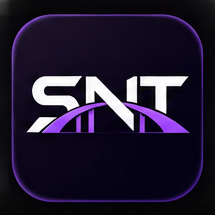 SNT Bridge